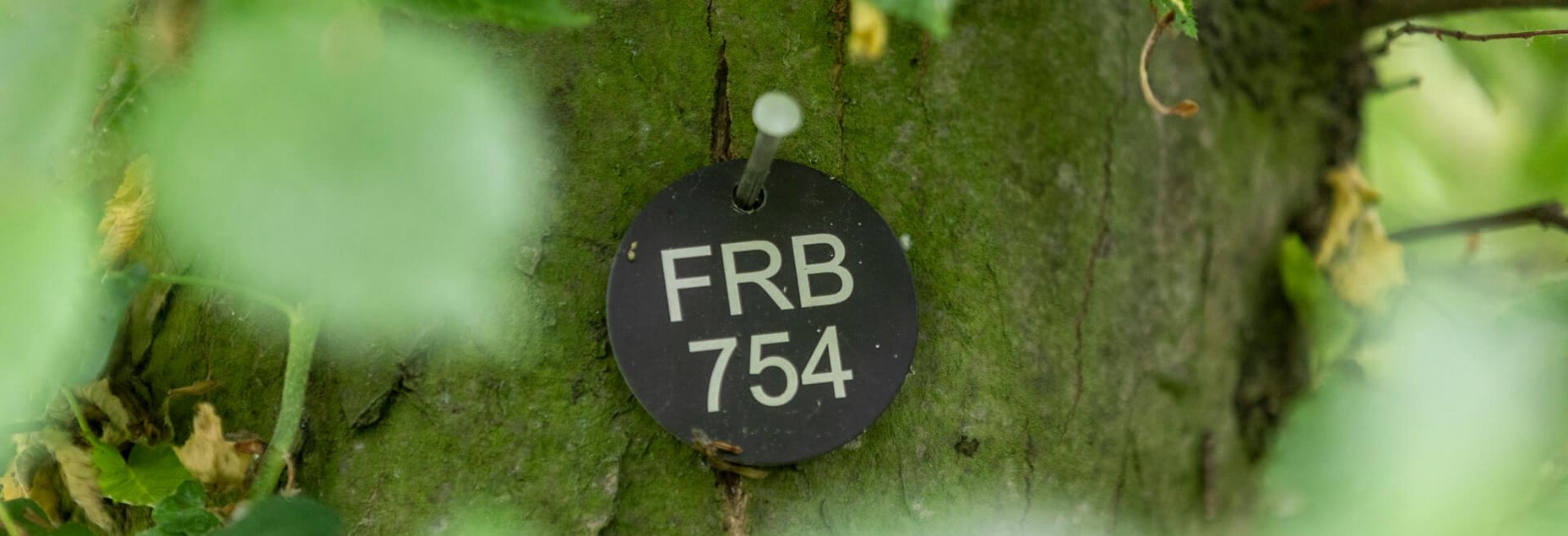 FRB 754 - Plakette