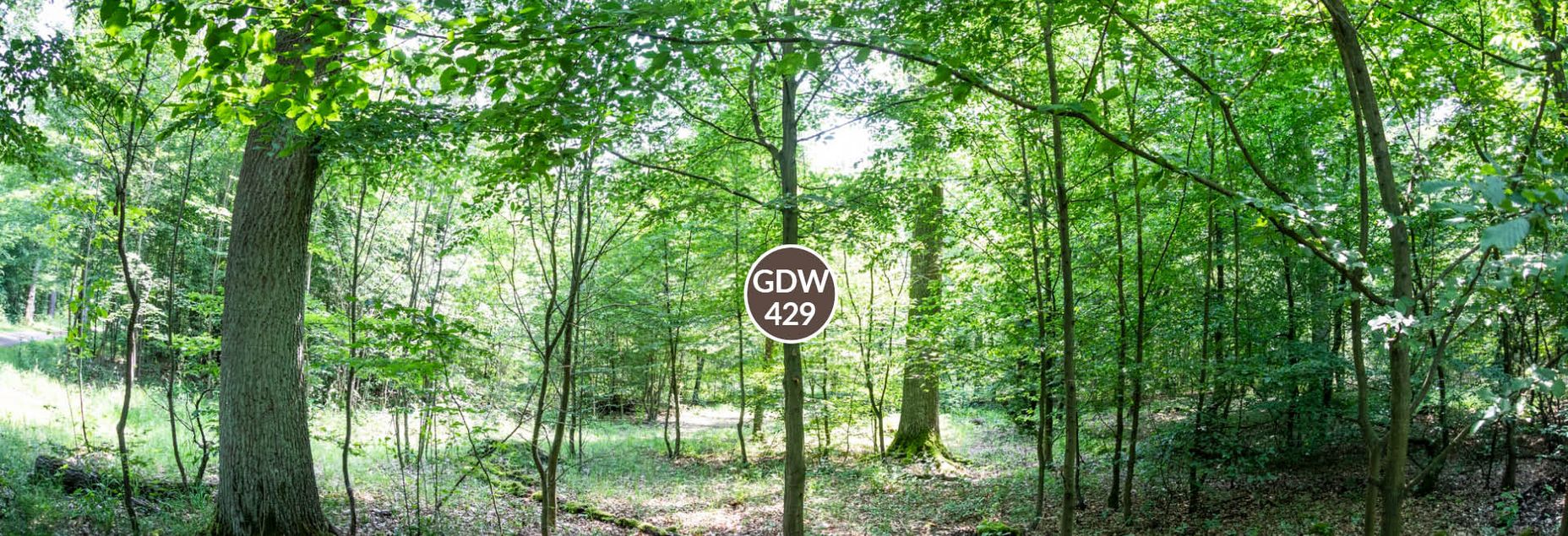 FriedWald-Onlineshop GDW 429