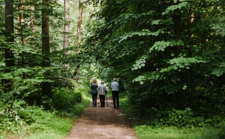 Weg im FriedWald Dudenhofen