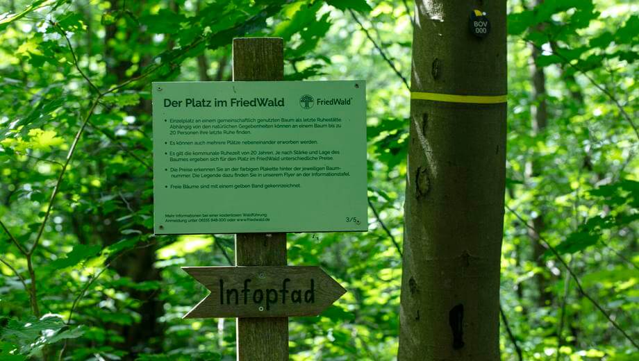 Der Waldinfopfad erläutert die FriedWald-Idee an fünf Stationen.
