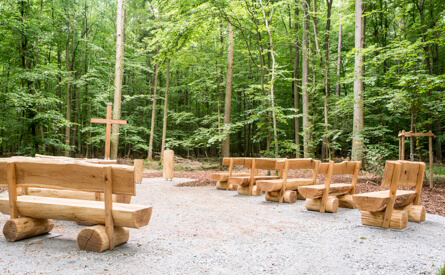  Seit einem Jahr können im FriedWald Main-Tauber in Großrinderfeld Menschen die letzte Ruhe unter Bäumen finden. Herzstück des Friedhofs im Wald ist der Andachtsplatz, der für Trauerfeiern genutzt werden kann.